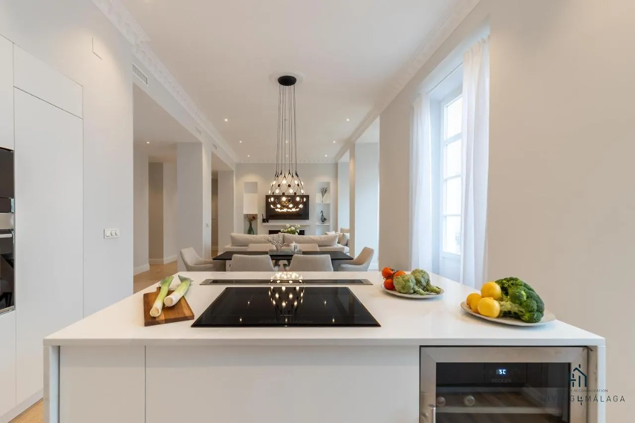 Living4Malaga Echegaray Grand Luxe Apartment Malaga