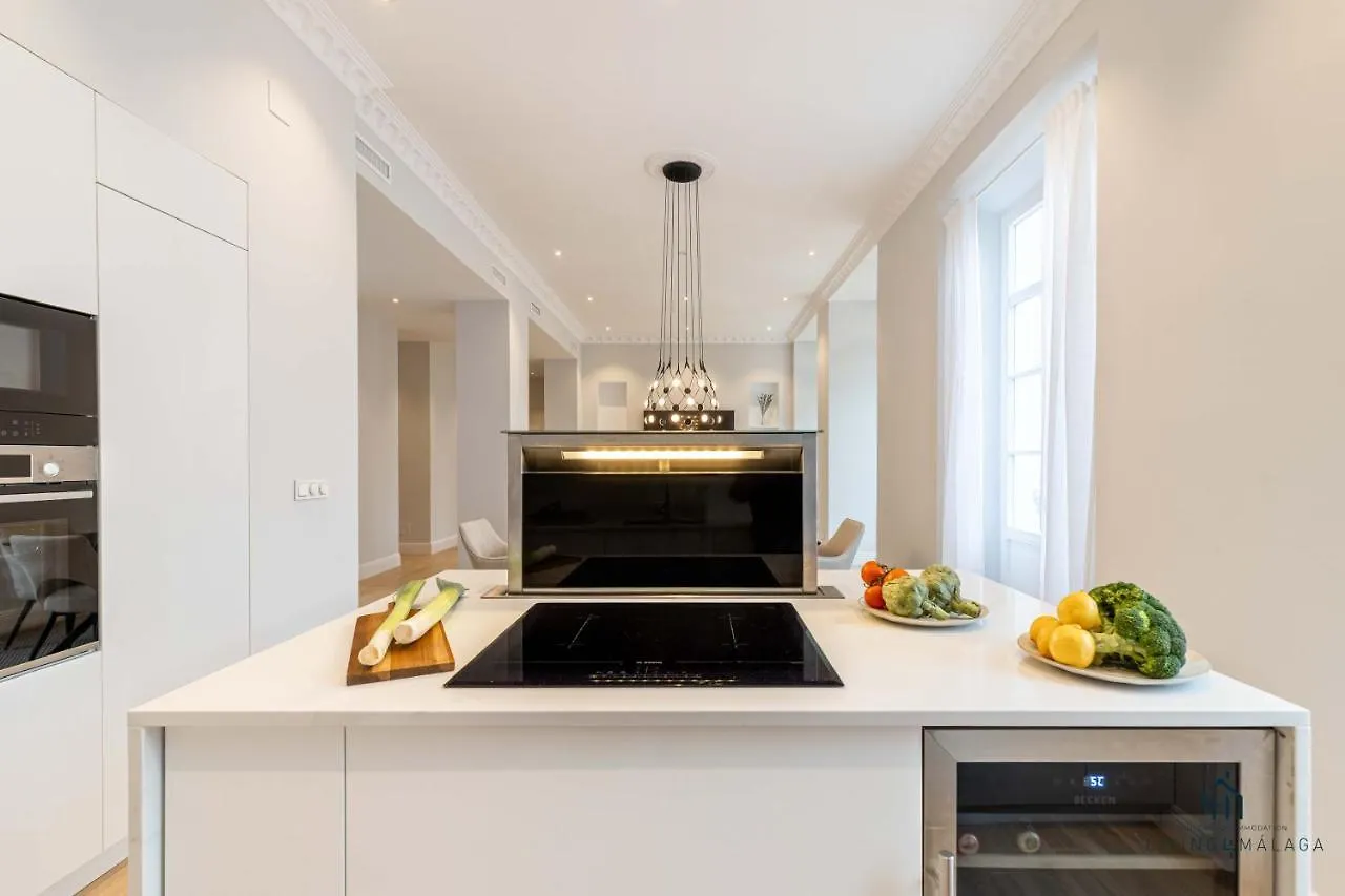 Living4Malaga Echegaray Grand Luxe Lägenhet 0*,